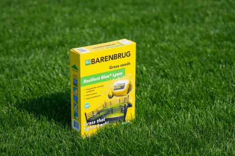 Resilient Blue Lawn 1.jpg